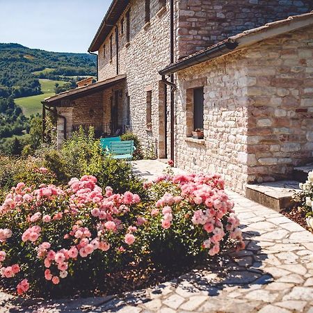 Agriturismo Casal San Sergio Fossombrone Luaran gambar
