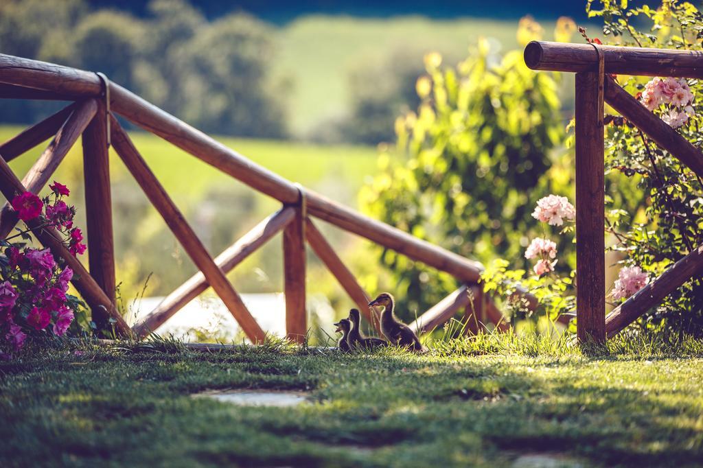 Agriturismo Casal San Sergio Fossombrone Luaran gambar